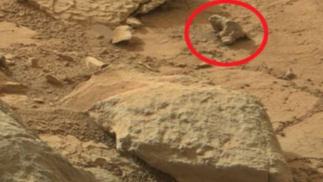 إخفاء أدلة على وجود كائنات حية على كوكب المريخ 2