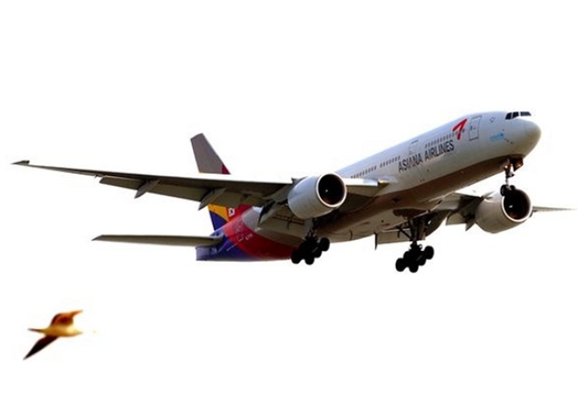 بالصور: أفضل 10 شركات طيران في العالم لعام 2014