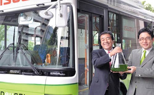تشغيل أول حافلة فى اليابان بطاقة من أعشاب البحر 