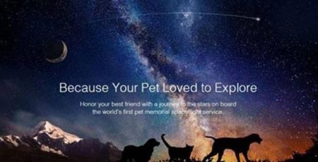 دفن رفات حيوانك الأليف في الفضاء 