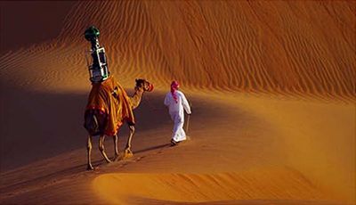 جوجل تستخدم جملاً لتصوير صحراء الامارات