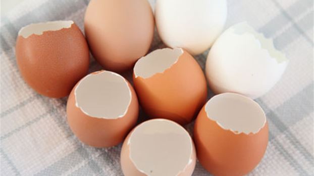 كيف تستفيد من قشر البيض ؟