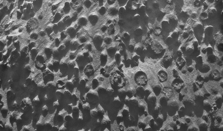 إشارات جديدة لوجود مياه على سطح المريخ