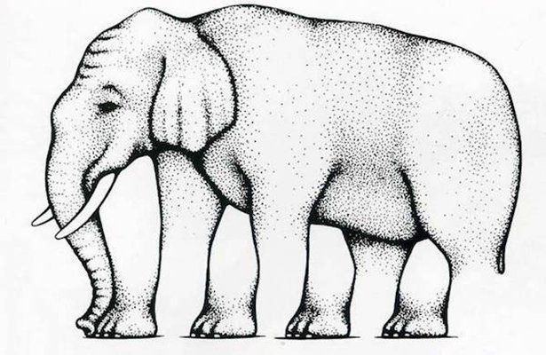 optical Elephant