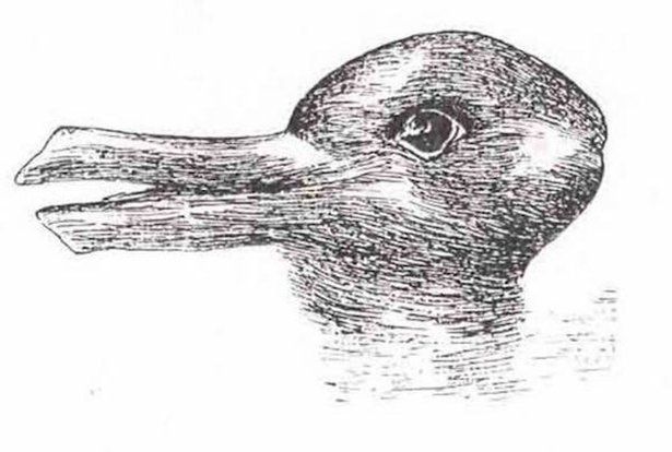 optical duck