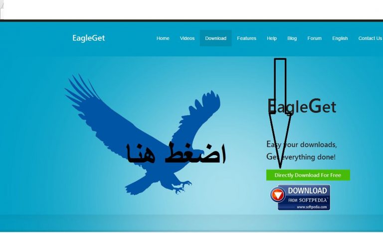 طريقة تحميل وتشغيل برنامج eagleget download