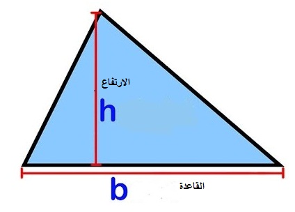 كم مساحة المثلث