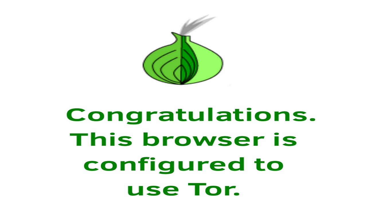 Tor browser android orfox hydra2web tor browser auto refresh попасть на гидру