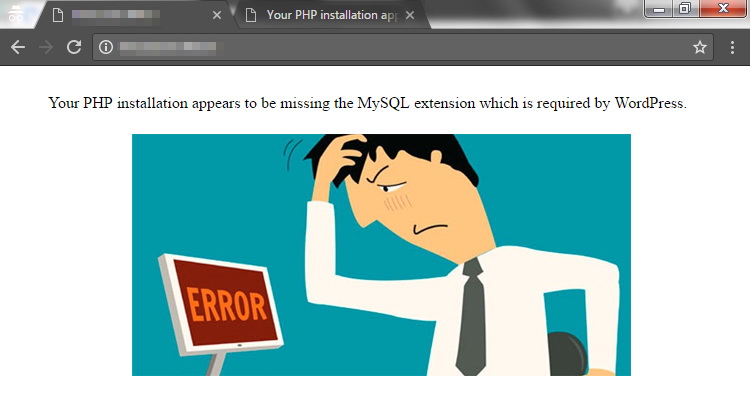 Your PHP installation appears to be missing the MySQL extension