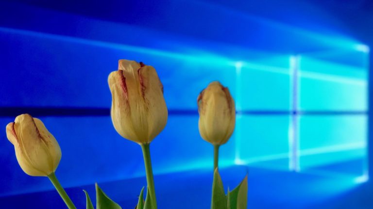 Windows 10 Spring Creators Update : ست خصائص في تحديث ويندوز 10
