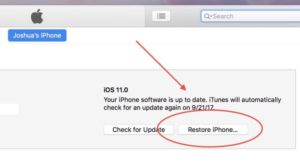 Clean iOS 12 Install