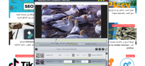 خطوات قص الفيديو باستخدام Video Cutter- 2