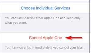 اضغط على "إلغاء Apple One".