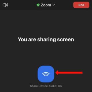 كيفية مشاركة الصوت على Zoom لأجهزة iPhone و iPad