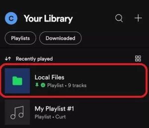 Local Files in Your Library