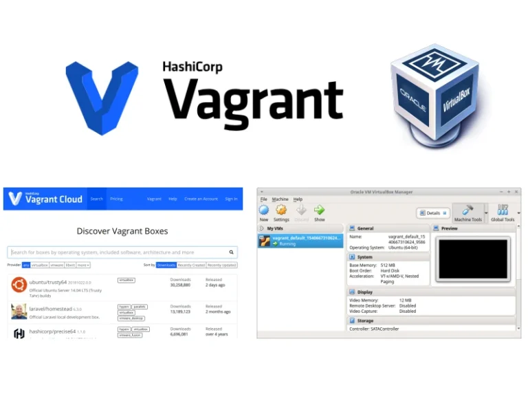 vagrant